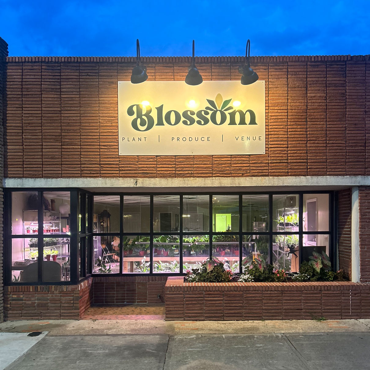 Blossom Plant & Produce