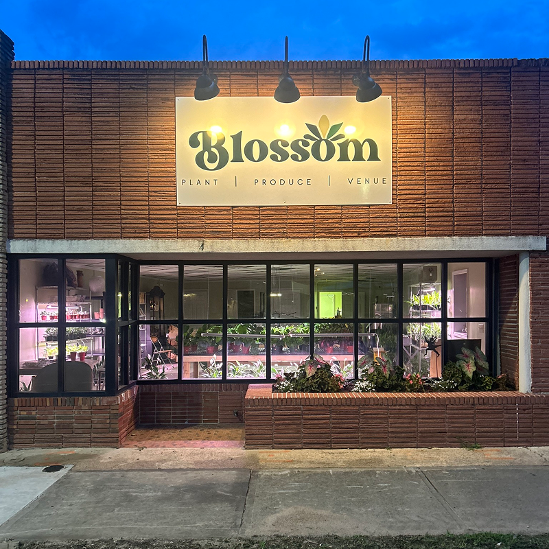 Blossom-Plant-Storefront